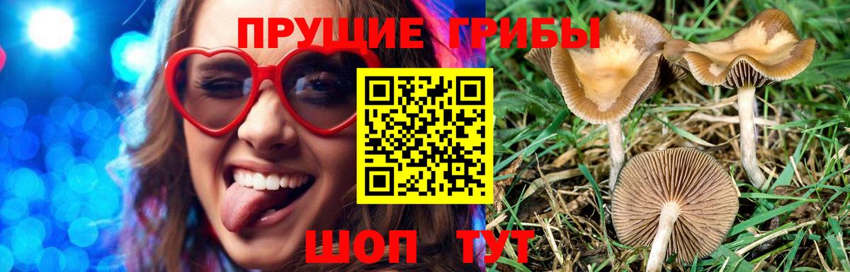 Псилоцибиновые грибы MAGIC MUSHROOMS  Вход с VPN  Невинномысск 